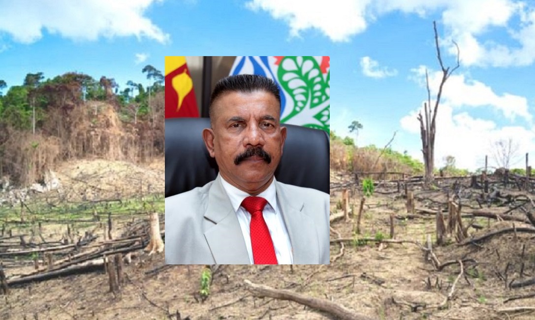 ගස් කැපුවට ඔක්සිජන් ආඩු වෙන්නේ නෑ - මධ්‍යම පරිසර අධිකාරියේ සභාපති 