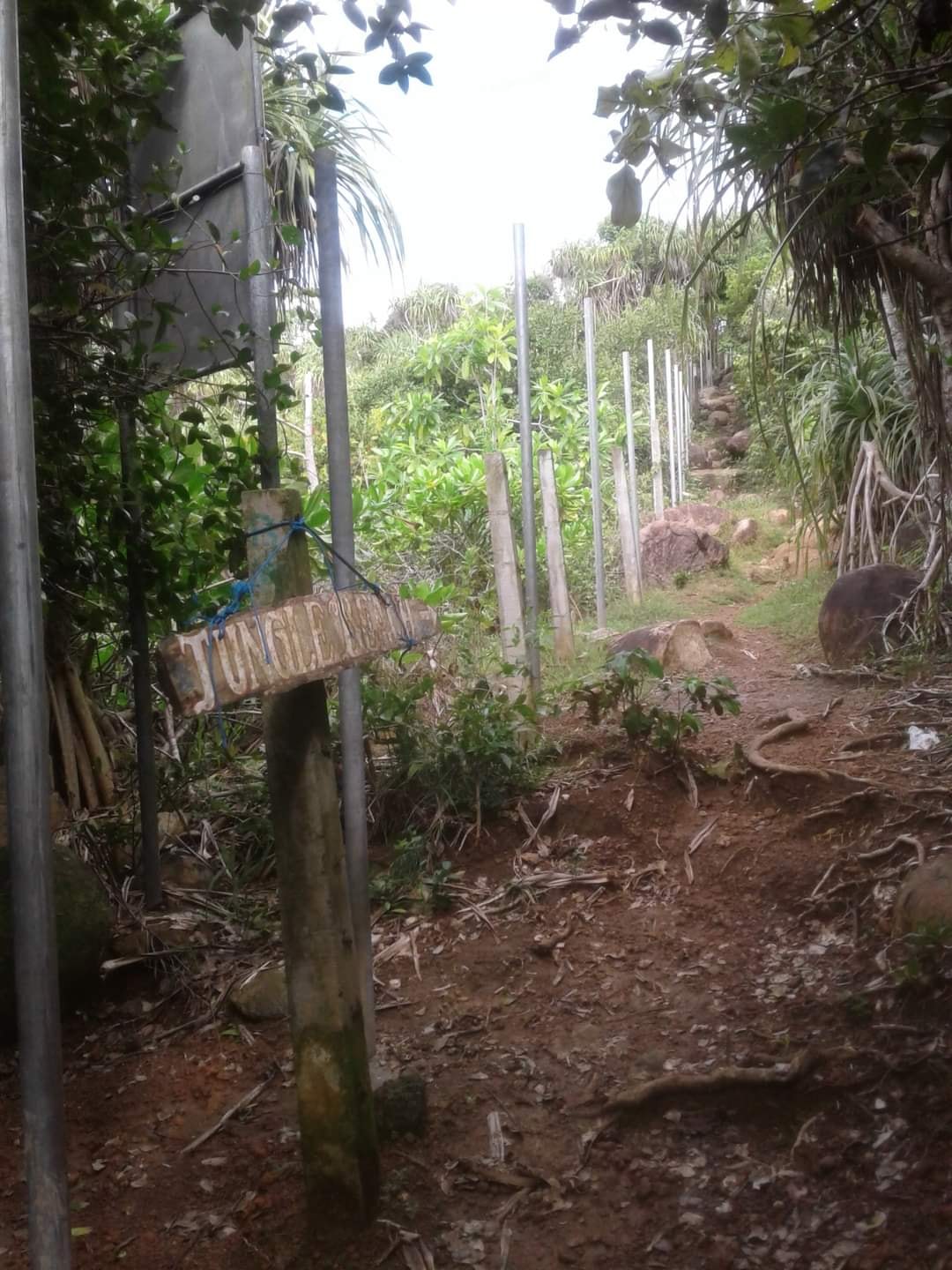 139606248 10225721734458379 6495040350736355553 o 1