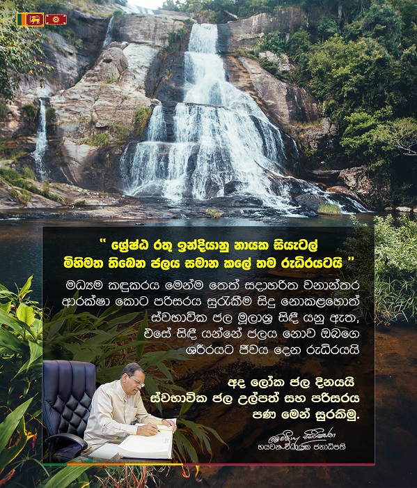 162123344 10158876389366327 2381658409399254144 o