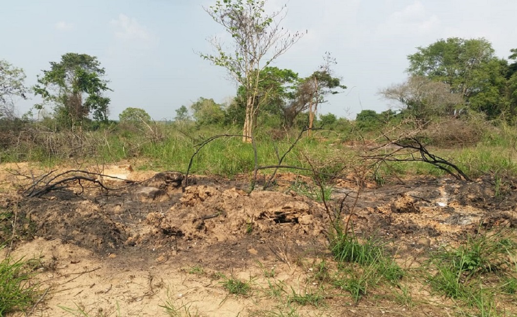 තඹුත්තේගම ඔරුගලයාය වන විනාශය : පරිසරවේදීන්ගෙන් අනාවරණයක් !