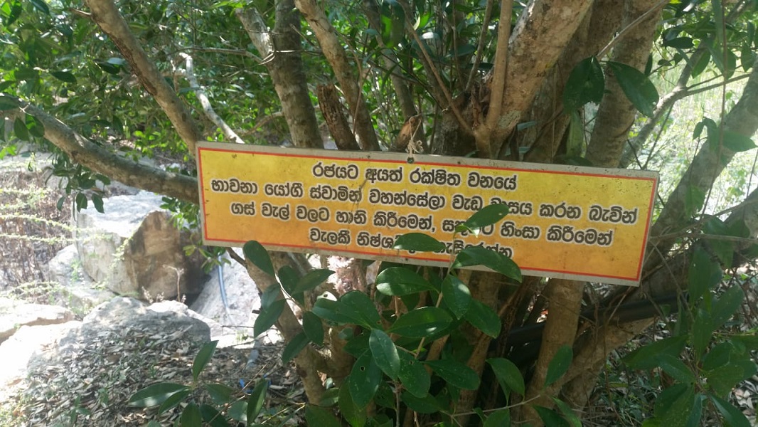 164512603 188099509543849 306902765824343471 n