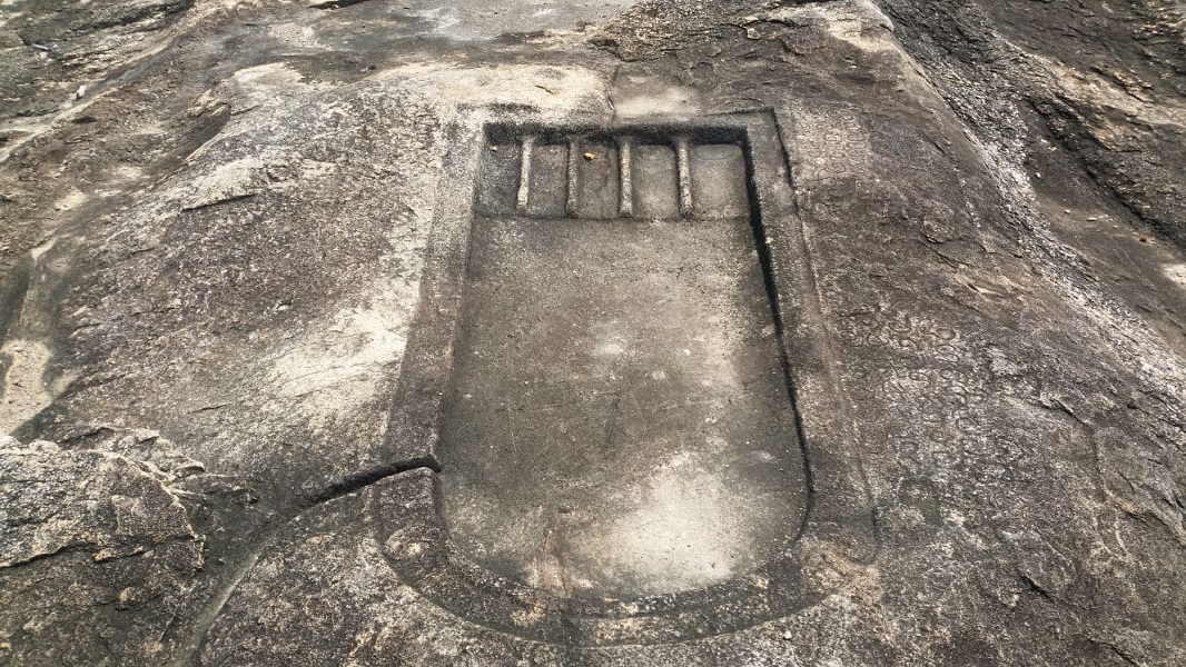 164572590 354013352564895 7372979966246305284 n