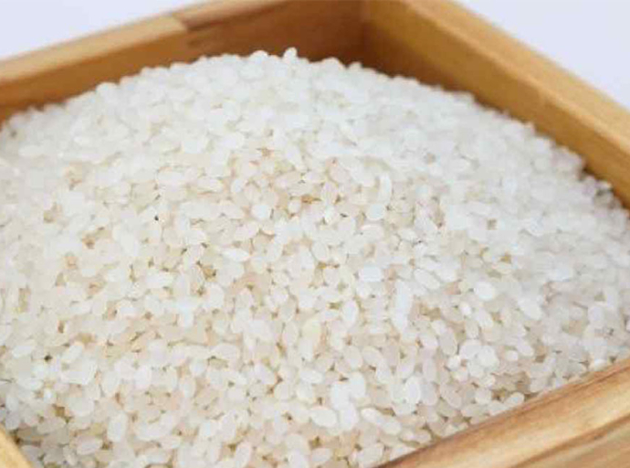 මහා පරිමාණ මෝල්හිමියන් කීරි සම්බා සඟවන බවට චෝදනාවක්