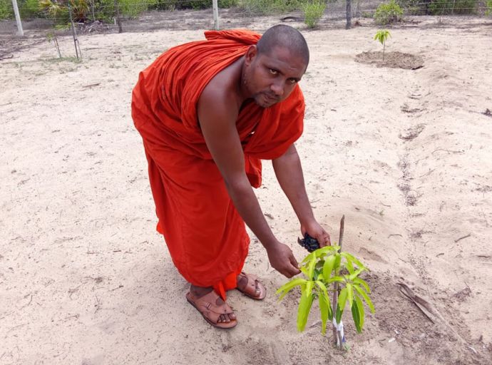 විදුලි බිල ගෙවන්න අඹ වවන හාමුදුරුවෝ