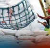 සහල් මෙට්රික් ටොන් 3,500ක් දිවයිනට
