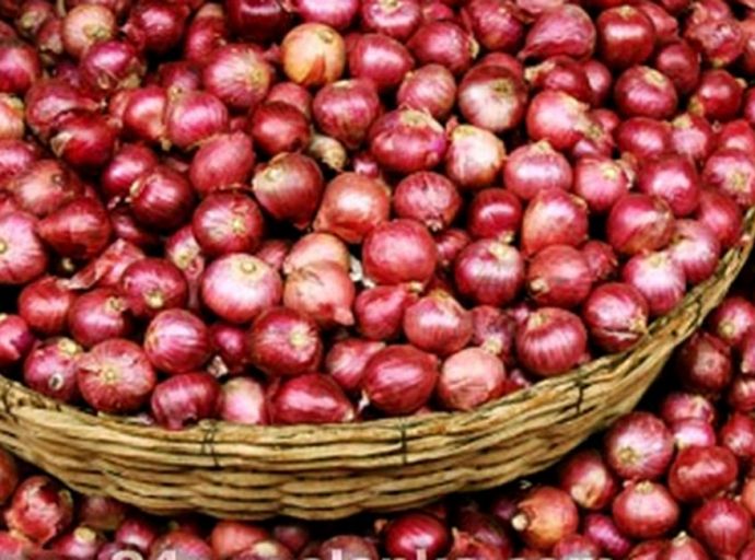 මෙරටට ගෙන ආ ලොකු ලූනු ප්‍රමාණය ගැන රේගුවෙන් හෙළිදරව්වක්