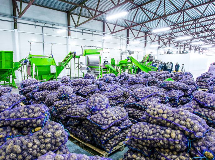 දඹුල්ලේ ශීත ගබඩාව අක්‍රීය යි; ගොවීන්ගේ අල, ලූනු කසළ ගොඩට