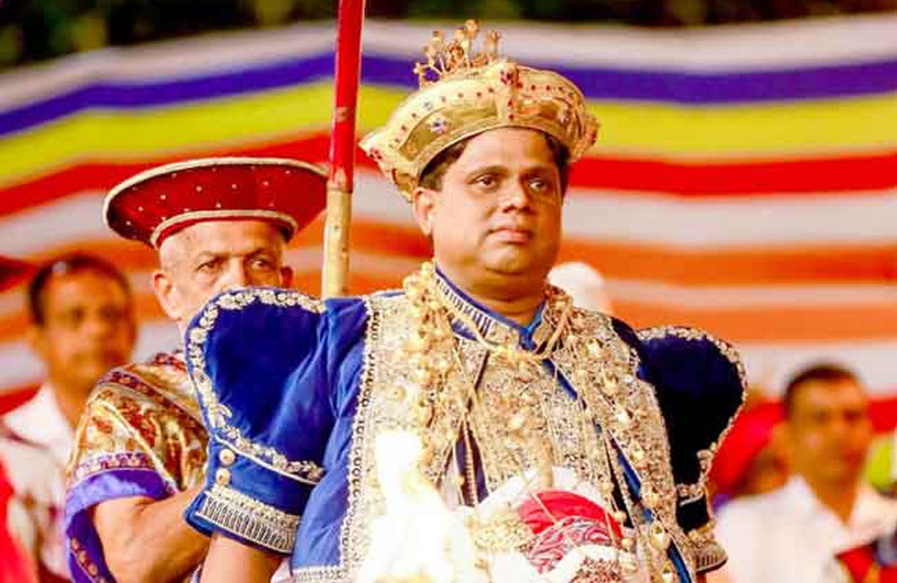 නිලංග දෑල යළිත් දියවඩන නිලමේ ධුරයට