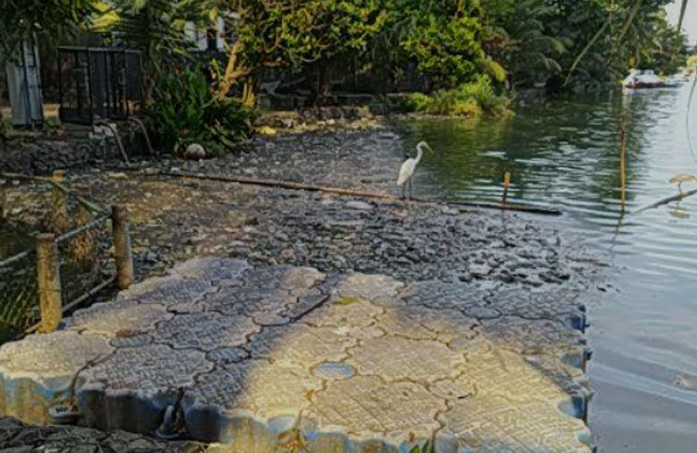 බේරේ වැව සුද්ද කරන්න රොබෝ තාක්ෂණය