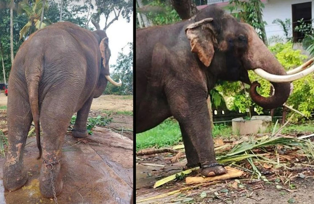 තායි රාජා සහ කණ්ඩුල ගැන හොයා බලන්න තායිලන්ත නියෝජ්‍ය අග්‍රාමාත්‍යවරයා 28 දා ලංකාවට