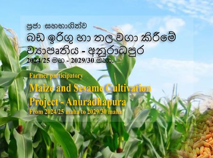 බඩ ඉරිගු භෝග ක්ෂේත්‍රයේ සුවිශේෂී පරිවර්තනයක්