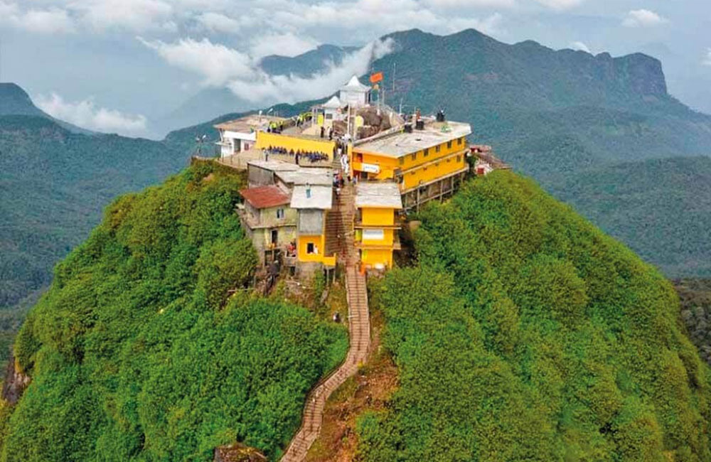 වඳවී ගිය ගෙඹි විශේෂයක් සිරිපා අඩවියෙන් හමුවෙයි