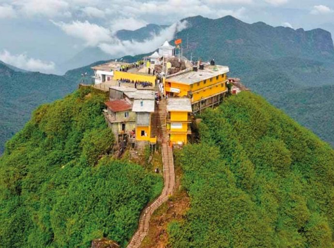 වඳවී ගිය ගෙඹි විශේෂයක් සිරිපා අඩවියෙන් හමුවෙයි