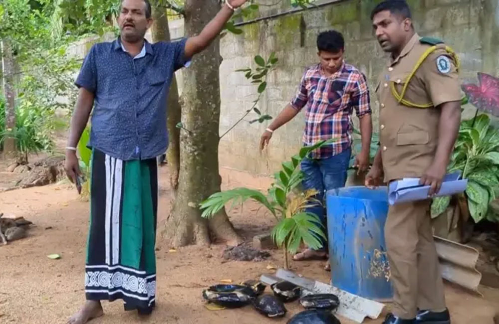 කපු මහතා සහ වනජීවි නිලධාරීන්