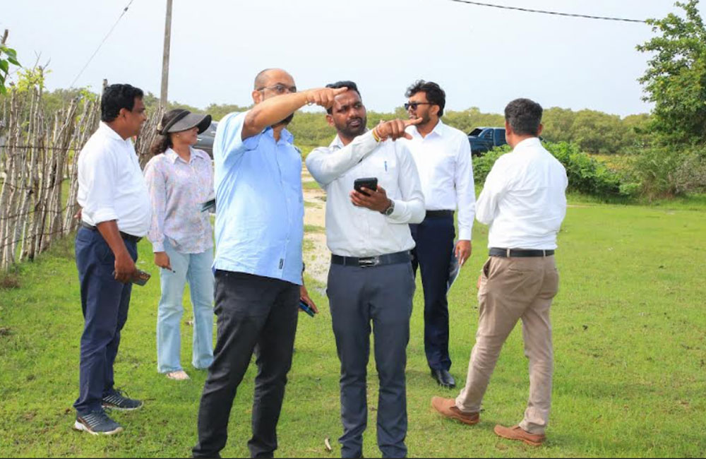 කිලිනොච්චියට මෙගාවොට් 204ක සුළං විදුලි බලාගාරයක්