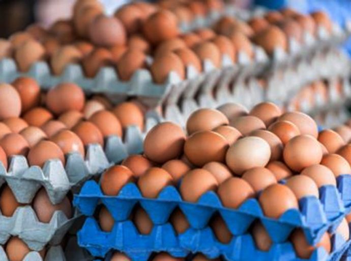 බිත්තර හිගයක් අත ළඟයි