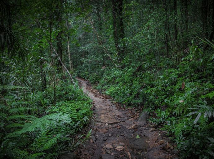 සිංහරාජයේ වනාන්තර ඉඩම් පවරාගැනීම් අවුරුදු 21ක් ප්‍රමාදයි