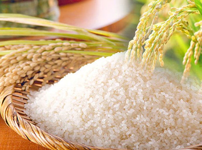 සම්බා සහ කීරි සම්බා වී මිලදී ගැනීමේ අවම මිල ඉහළ නැංවීමට අමාත්‍ය මණ්ඩලයේ අනුමැතිය 