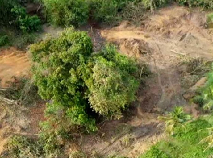 පඬු­ක­රඳ ගහේ වන්දිය මිලි­යන 980ක් !