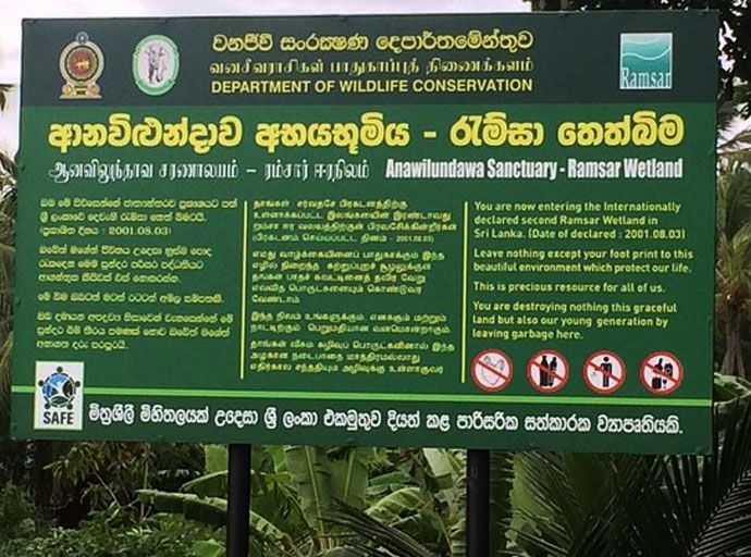 දිට්වා හානි කළ ආනවිළුන්දාව රැම්සා අභය භූමිය