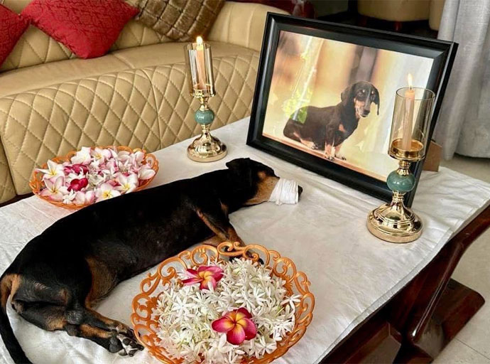 ආදරණීය බංචි