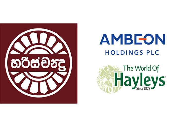 ධම්මික පෙරේරා හරිස්චන්ද්‍ර සමාගම අතහරි?