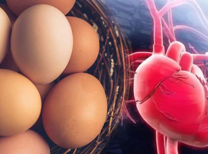 හෘද රෝගීන්ට බිත්තර හොඳ ද නරක ද...? හෘද රෝද විශේෂඥ නාමල් විජේසිංහ (වීඩියෝ)