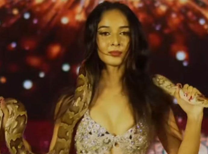 පිඹුරෙකු සමඟ නර්තනයේ යෙදුණු "අවුරුදු කුමරිය" දැලට