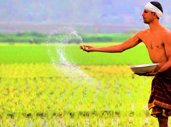 පොහොර හිඟය හමුවේ රජයෙන් තීරණයක්