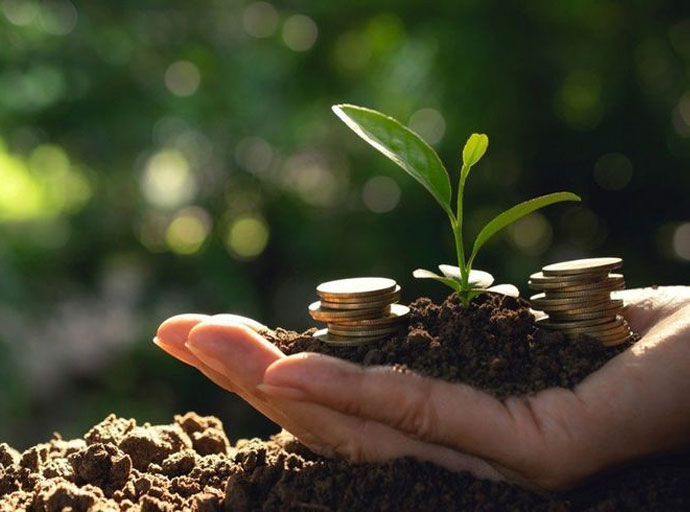 ඔබ Plantation ආයෝජකයෙක් ද...? අනිවාර්යයෙන් මේ වීඩියෝව නරඹන්න