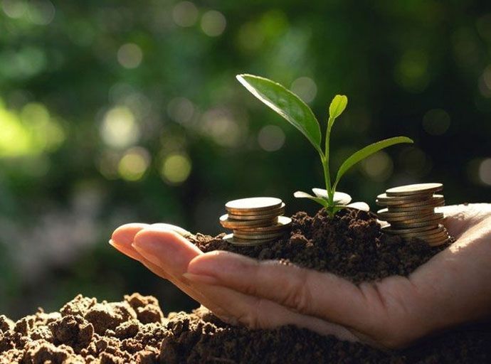 ඔබ Plantation ආයෝජකයෙක් ද...? අනිවාර්යයෙන් මේ වීඩියෝව නරඹන්න