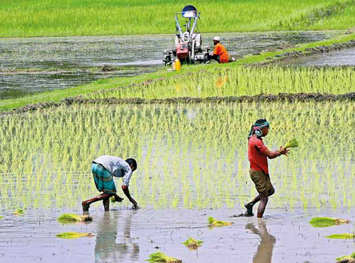 යල කන්නයේ වගා කටයුතු ඇරඹෙයි: ජල හිඟයක් නැතත් අරපිරිමැස්මෙන් භාවිත කරන්නැයි දැනුම්දීමක්