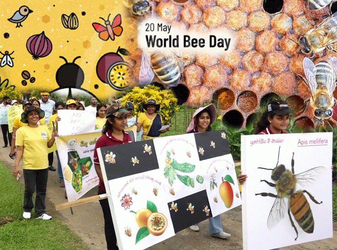 මී පැණි නිෂ්පාදනය ඉදිරි වසර කිහිපය තුළ දී සිවු ගුණයකින් ඉහළ නැංවීමට සැලසුම්