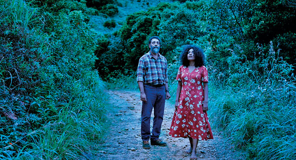 TURTLE STILL 5
