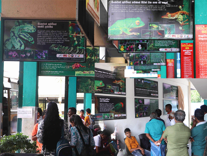 සිංහරාජයේ හරිත දොරටුව; කලවාන බස් නැවතුම්පොළ පරිසර අධ්‍යාපන කේන්ද්‍රස්ථානයක් වෙයි