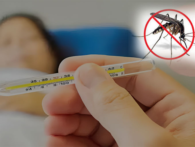 ඩෙංගු උවදුරෙන් ජීවිත බේරාගනිමු
