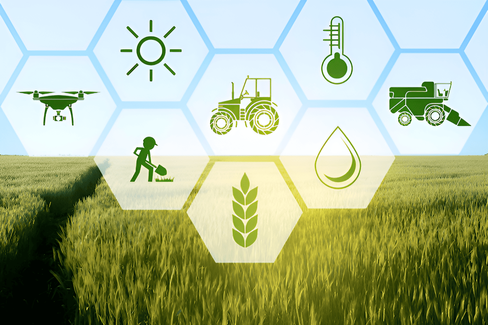climate smart agriculture