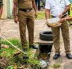 විශේෂ ඩෙංගු මර්දන මෙහෙයුම අද සිට