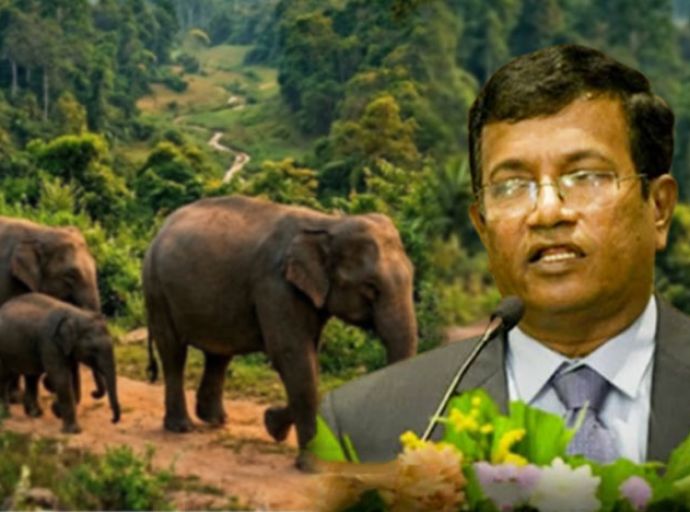 අලි කොරිඩෝ 3ක් මේ වන විට නිදහස්, ඉතිරි කොරිඩෝත් හැකි ඉක්මනින් නිදහස් කරනවා - නියෝජ්‍ය අමාත්‍ය ඇන්ටන් ජයකොඩි
