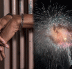 යාපනයේ ගිනිකෙළි සංවිධානය කළ සමාගමේ හිමිකරු රිමාන්ඩ්