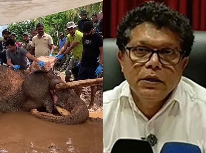 “කාවන්තිස්ස බේරාගන්න උපරිමයෙන් මැදිහත් වුණා" - පරිසර ඇමති