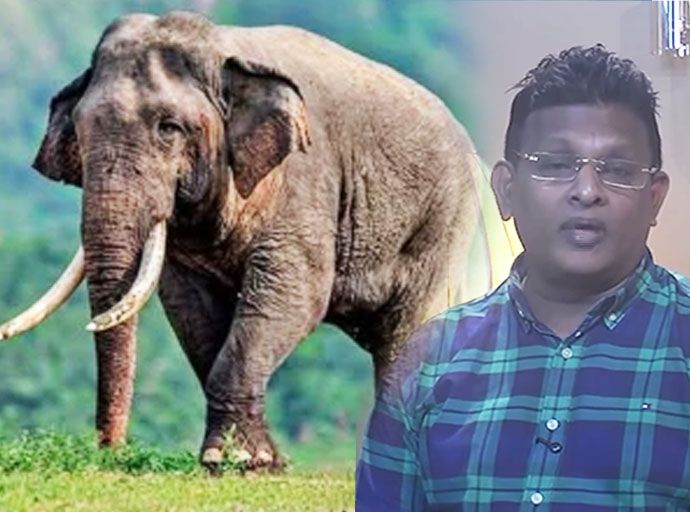 "කාවන්තිස්ස හස්තියාගේ මරණය ඝාතනයක්" – පරිසරවේදී නයනක රන්වැල්ල