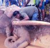 සජිත්ගේ දේශපාලන සතිය - වසර 12 කට පෙර හමුවූ මිතුරාට සමුදුන් හැටි.