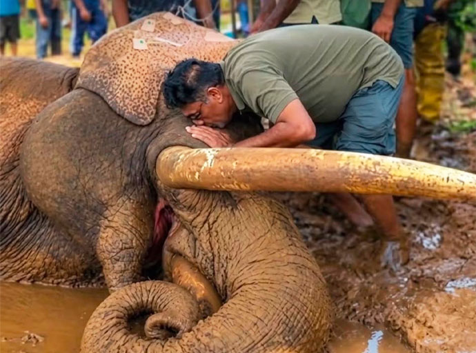 සජිත්ගේ දේශපාලන සතිය - වසර 30 ට පසු කාවන්තිස්ස සජිත්ට යළි දුන් දේ