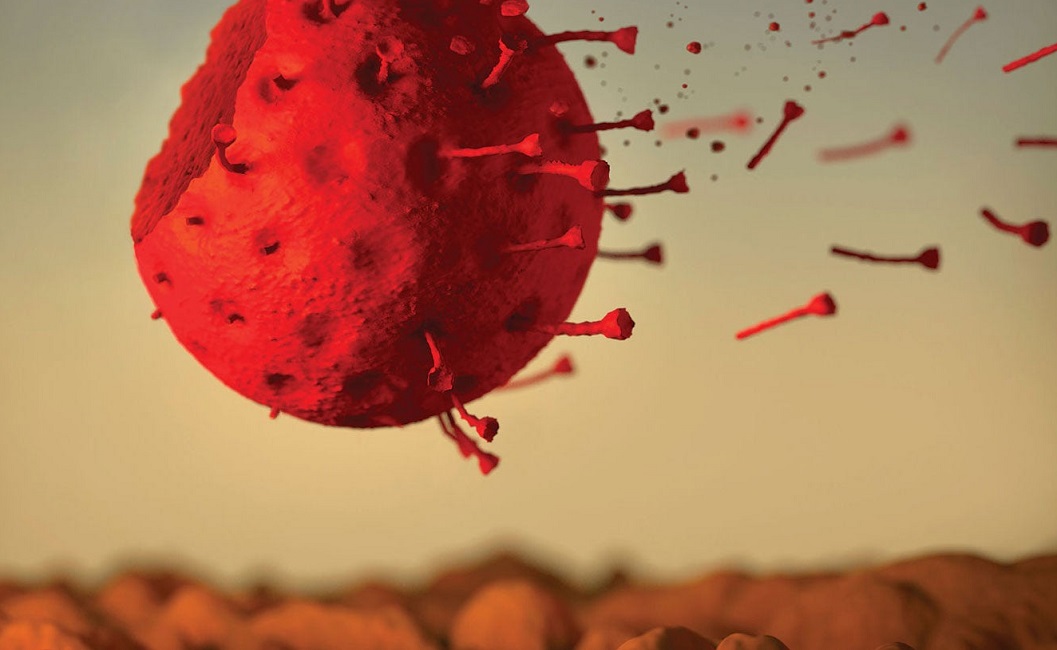 භූමිදානය හෝ ආදාහනය ගැන ව්‍යාජ පුවත් එපා !