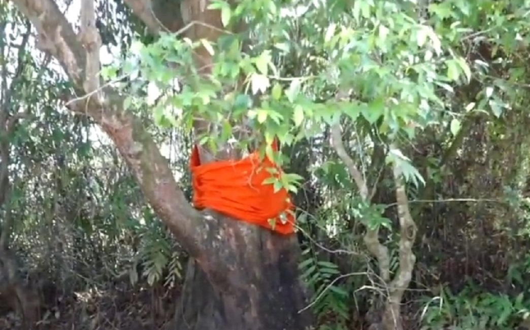 තිස්ස..! තිස්ස..! හරි වැඩේ නේද  ?