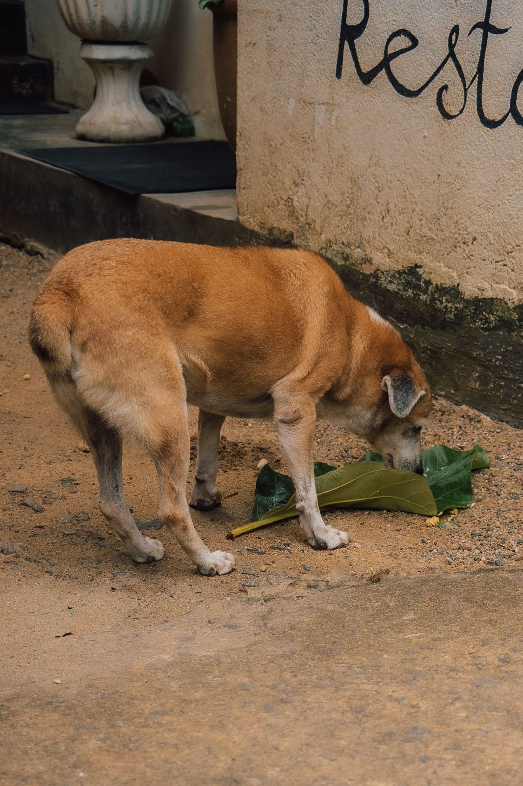 WhatsApp Image 2026 02 08 at 5.23.56 AM