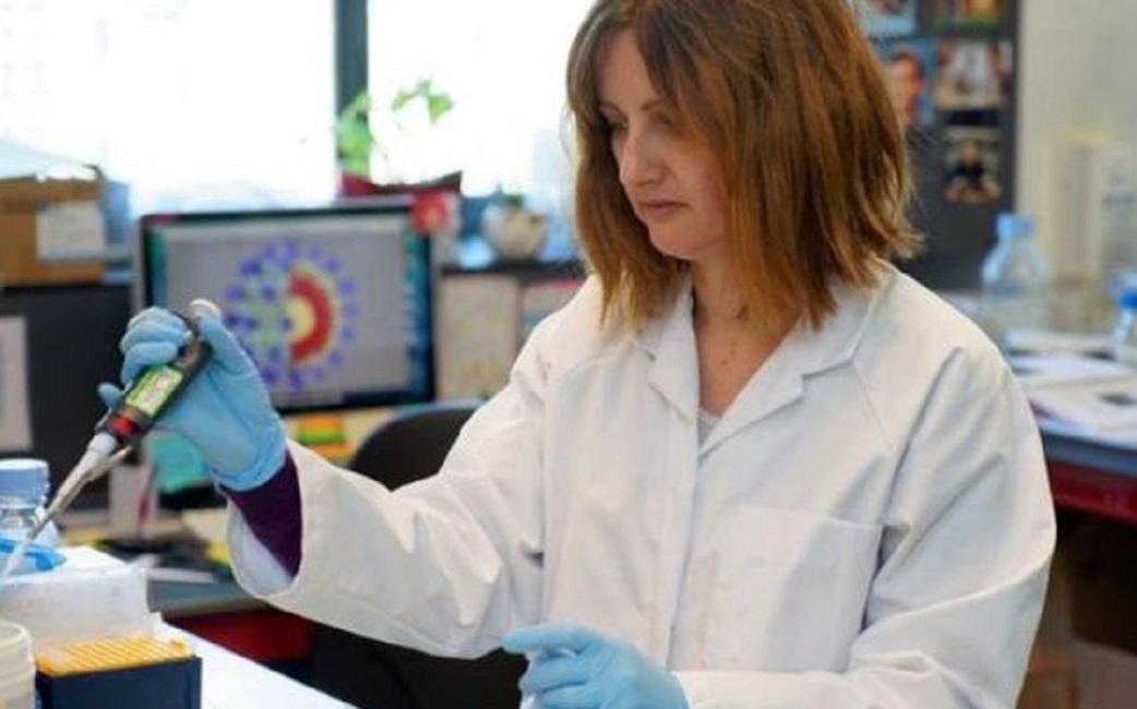 කොරෝනා : එන්නත බිහිවන්නේ කවදාද? මුලින්ම ලැබෙන්නේ කාටද?