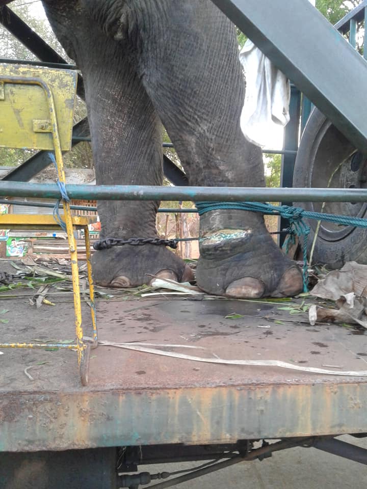 42916036 2052204081469600 6580649458143330304 n