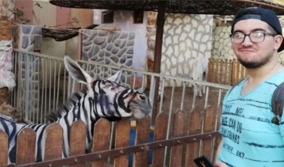 ඊජිප්තුවේ සත්වෝද්‍යානයක් : 'බූරුවෙක් සීබ්‍රාවෙක්'කරලා 